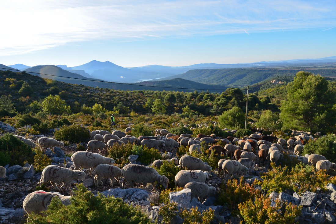 Transhumance 2018 - GAEC 