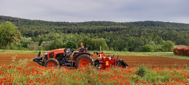 Dans les champs - Les Jardins de Barbebelle