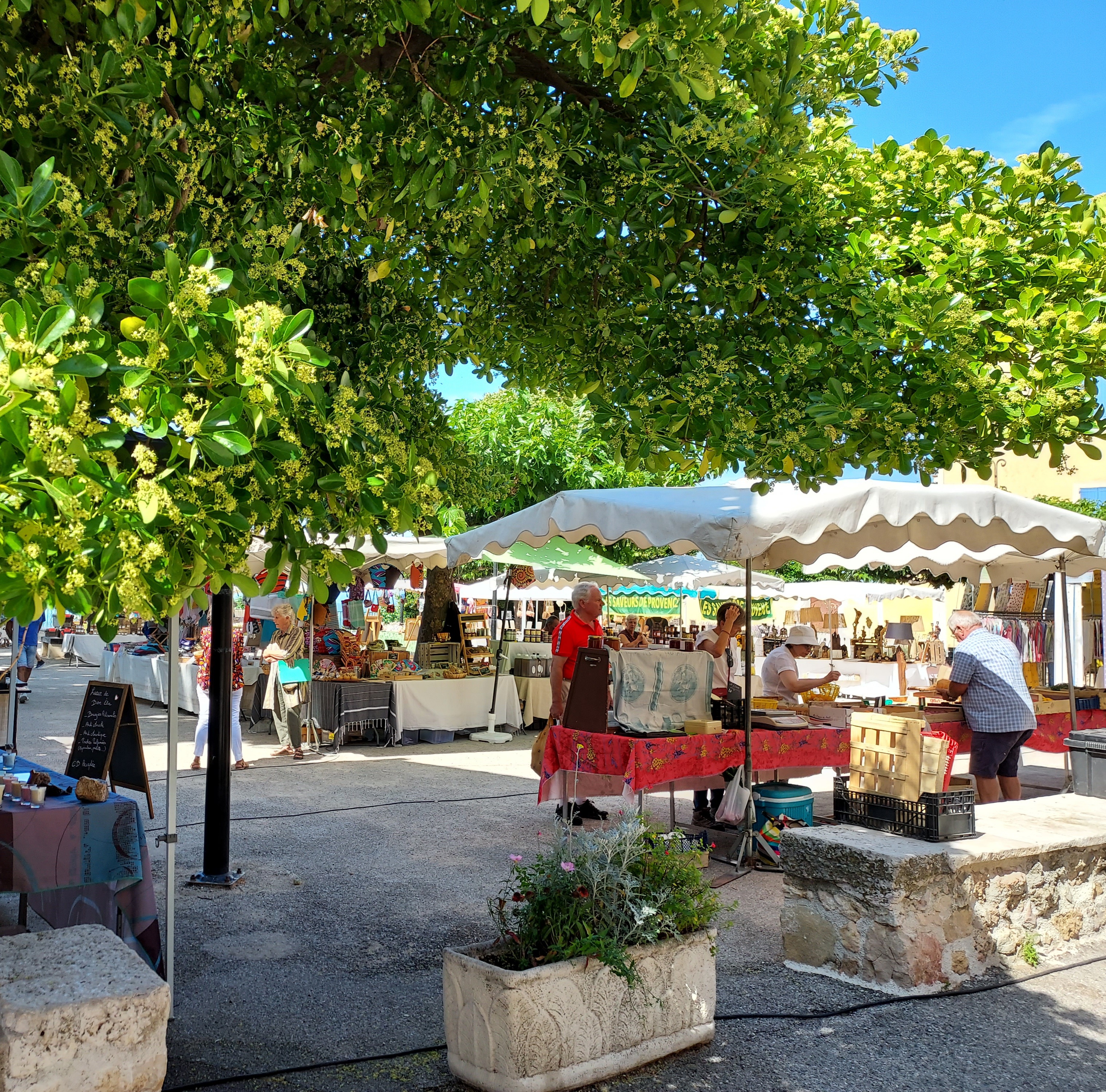 Marché hebdomadaire Tourtour - Marché hebdomadaire Tourtour