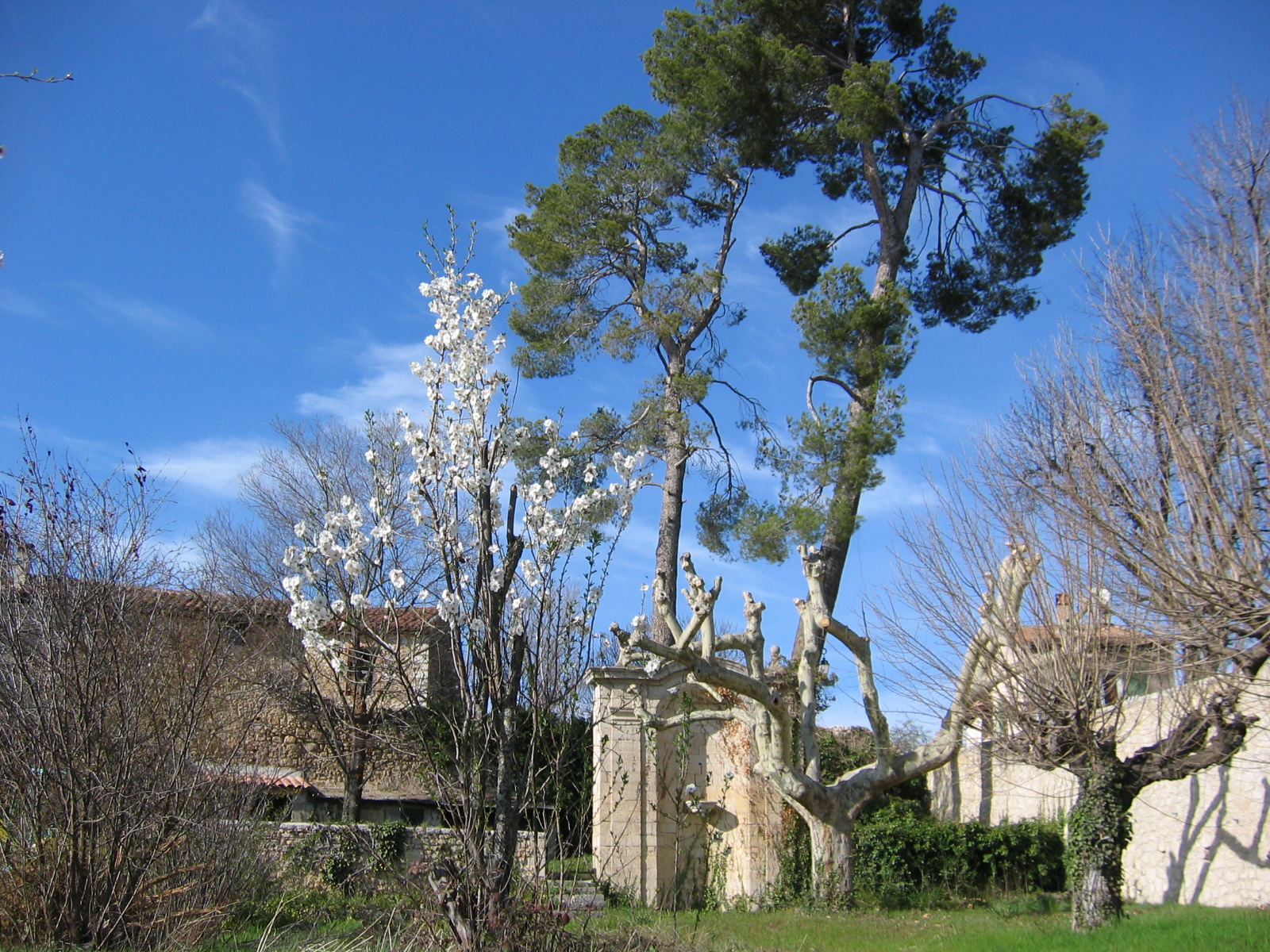 Le grand jardin - Le grand jardin