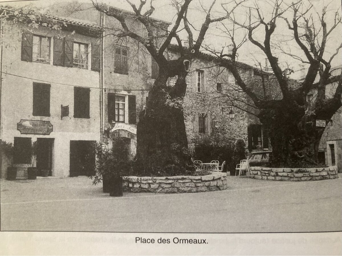 Les ormes à l'époque - Place des Ormeaux