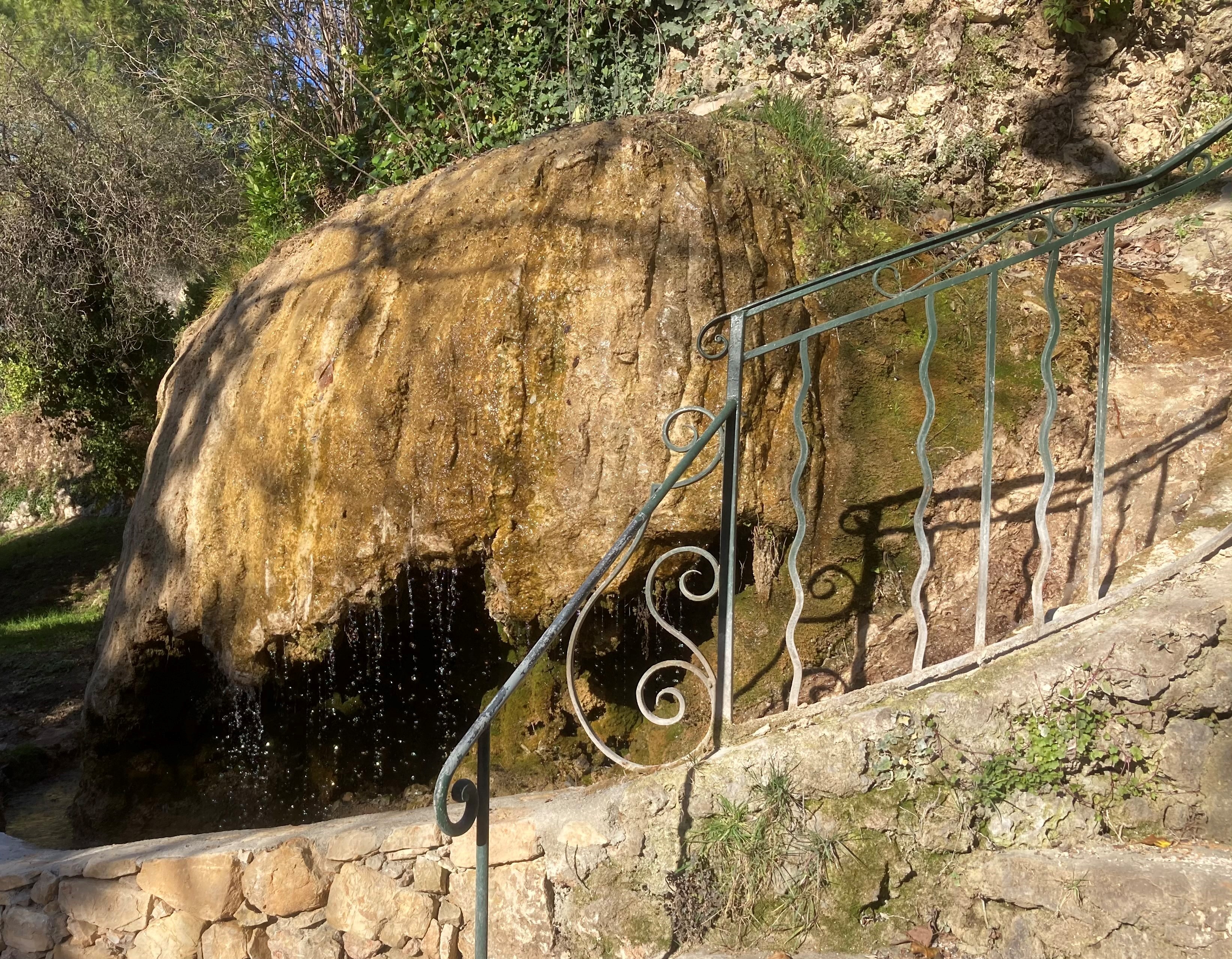 Photo - La fontaine moussue