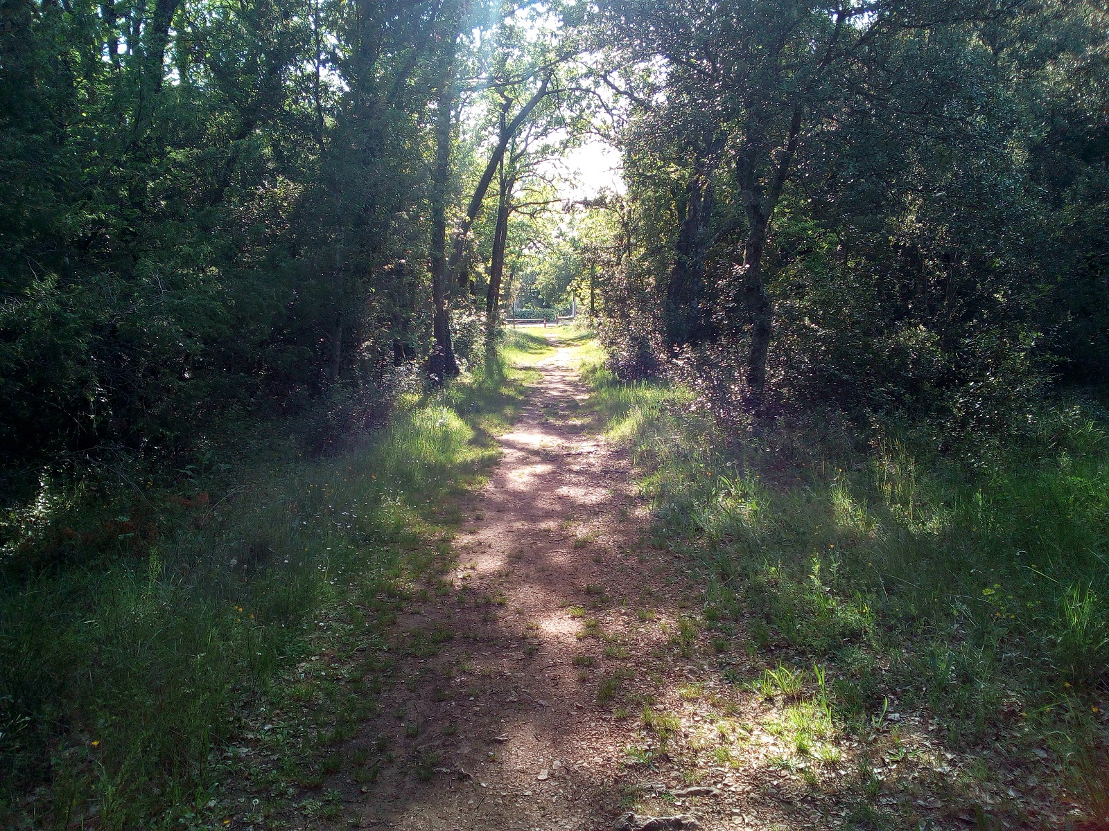 Sortie du parcours de santé le Claou - Circuit VTT 39 Provence Verdon