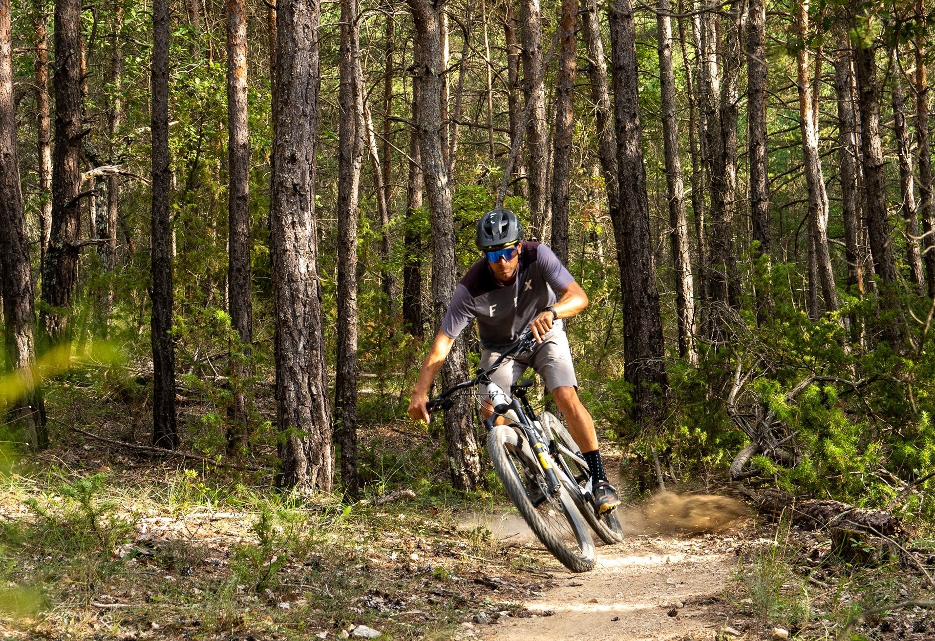 Dans la forêt - Circuit VTT 45 Provence Verdon