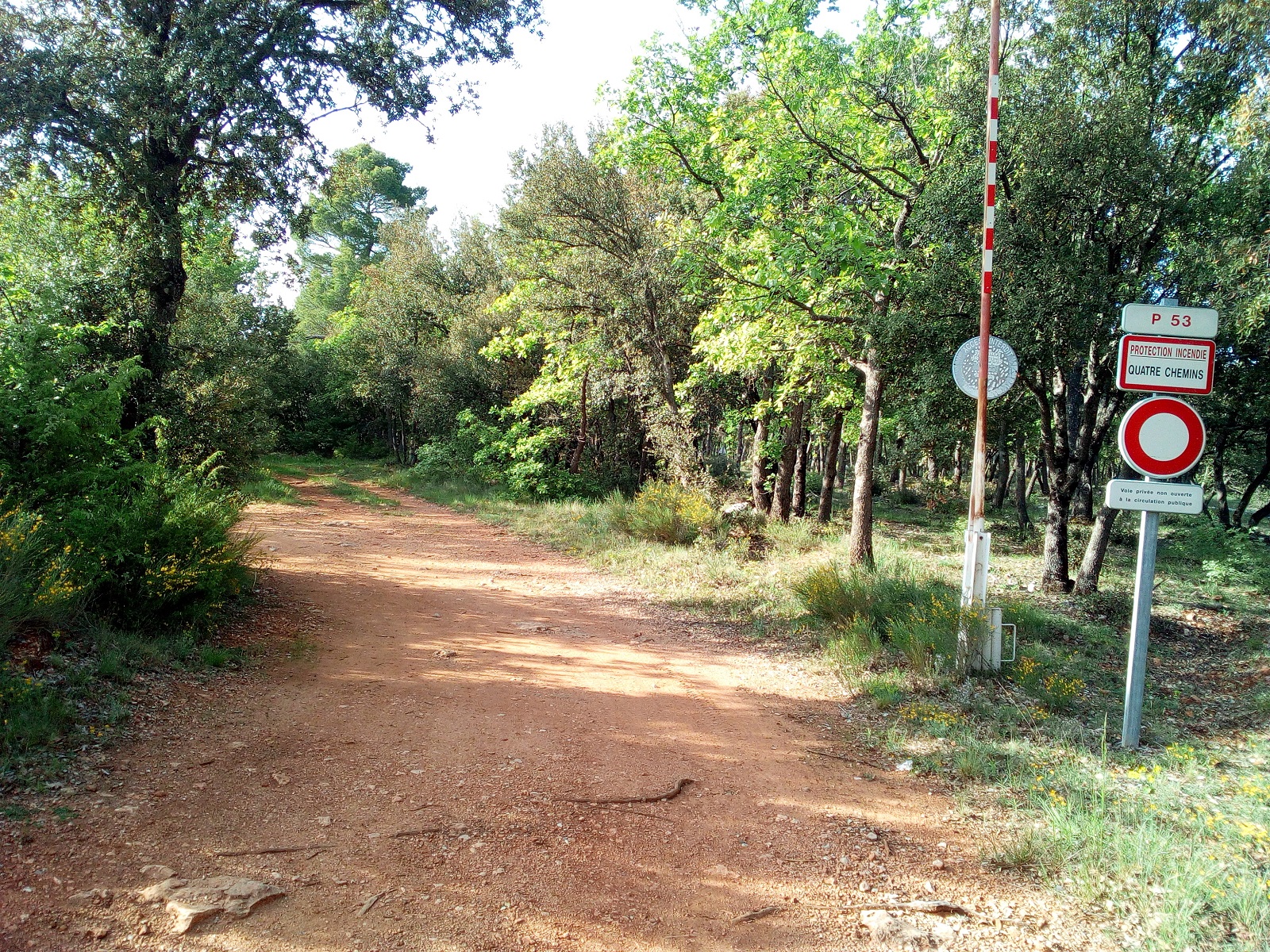 Piste DFCI « P53 quatre chemins » - Circuit VTT 40 Provence Verdon