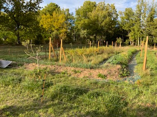 Photo Vinaigres et aromates