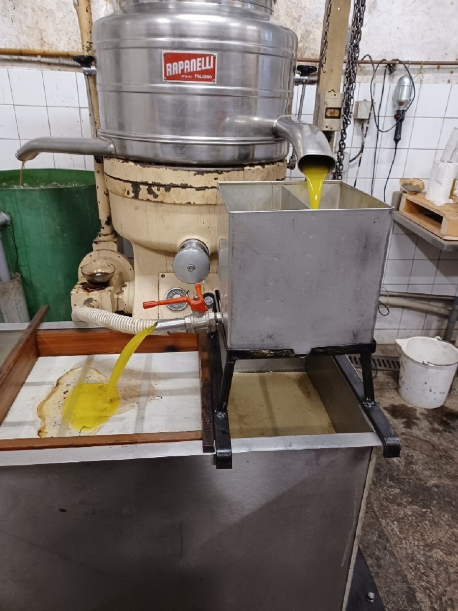 extraction de l'huile d'olive - L'Aupsoise