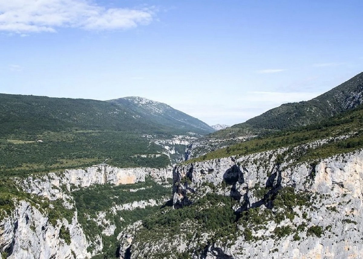 Photo La petite forêt