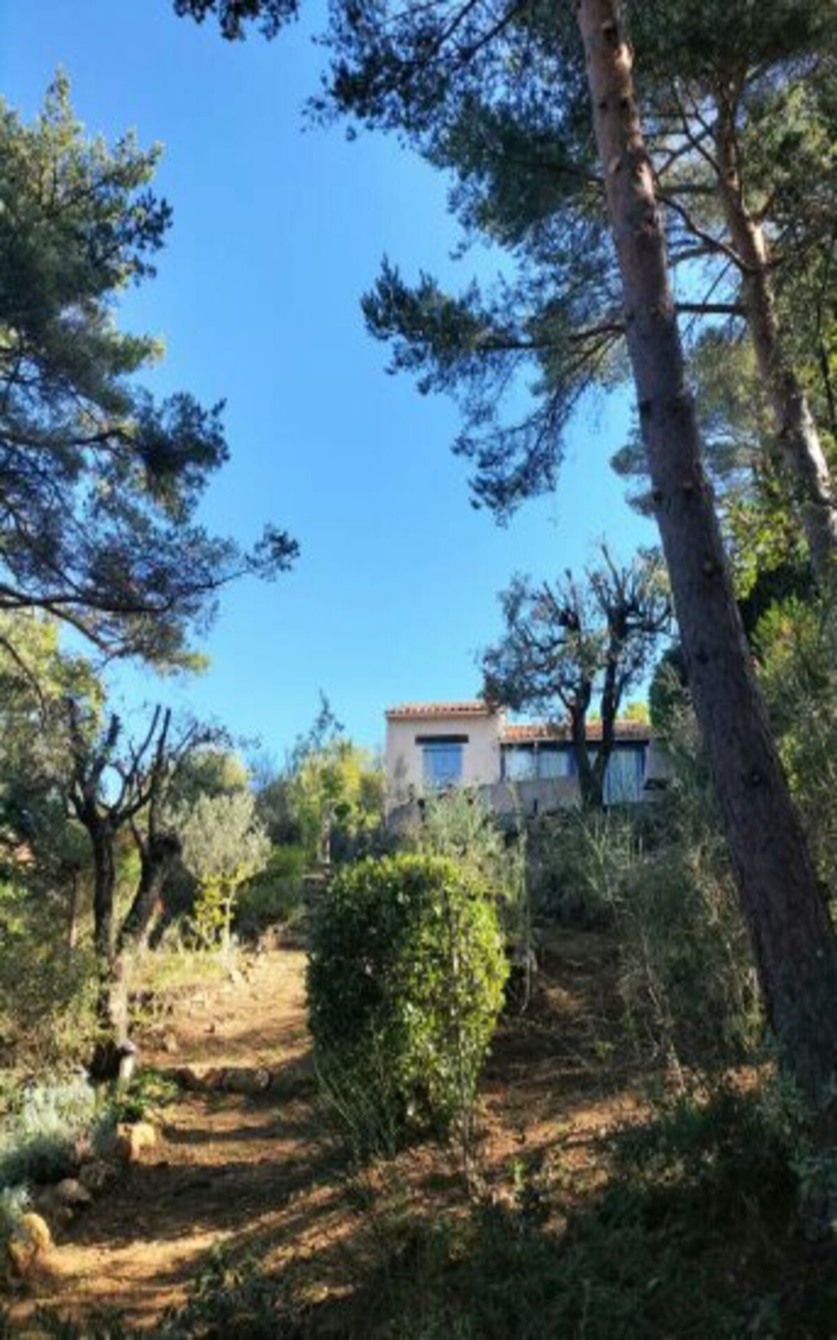 Villa Saint Pierre de Tourtour TOURTOUR