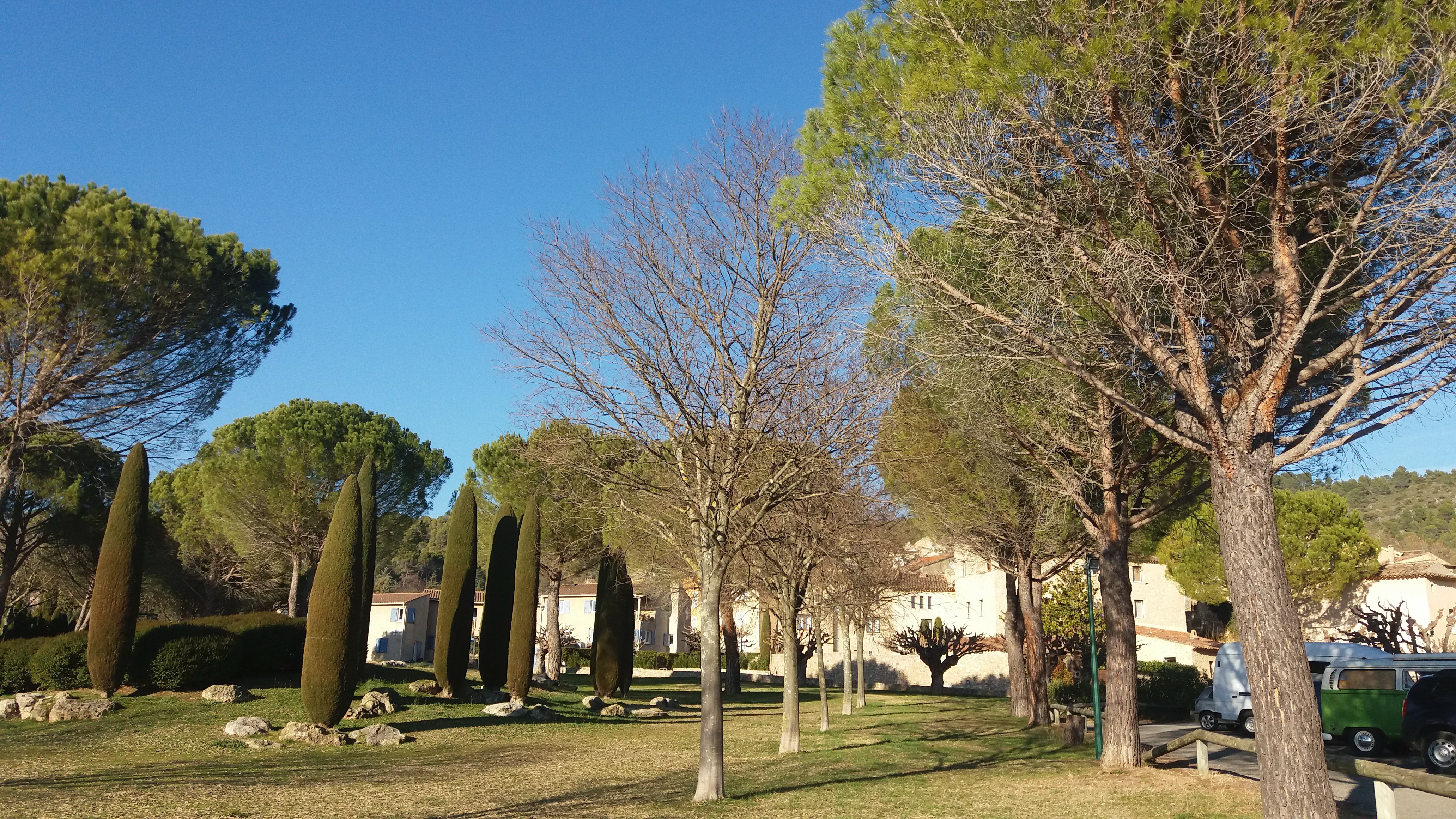 Théâtre de verdure - Théâtre de verdure