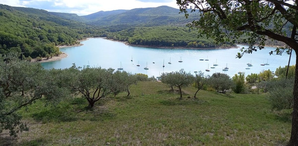 Vue de l'oliveraie - Bauduen_Bauduen