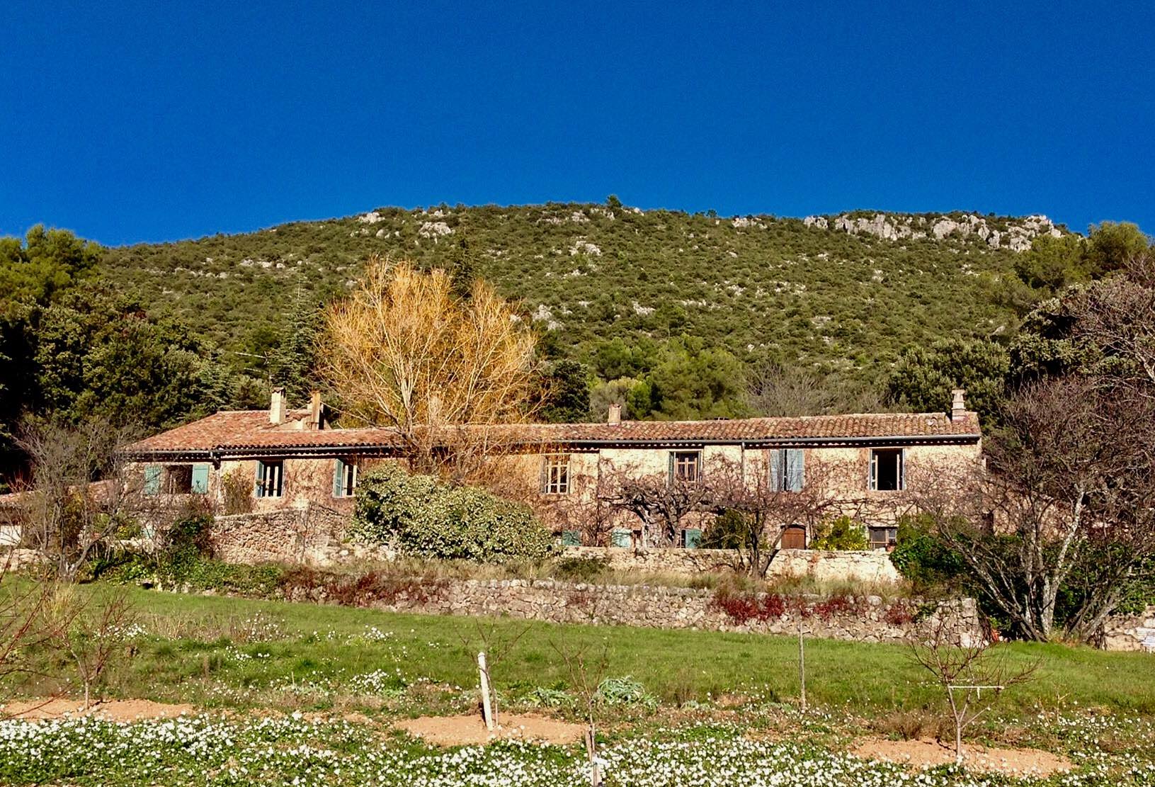 Photo Domaine de la Tuillière