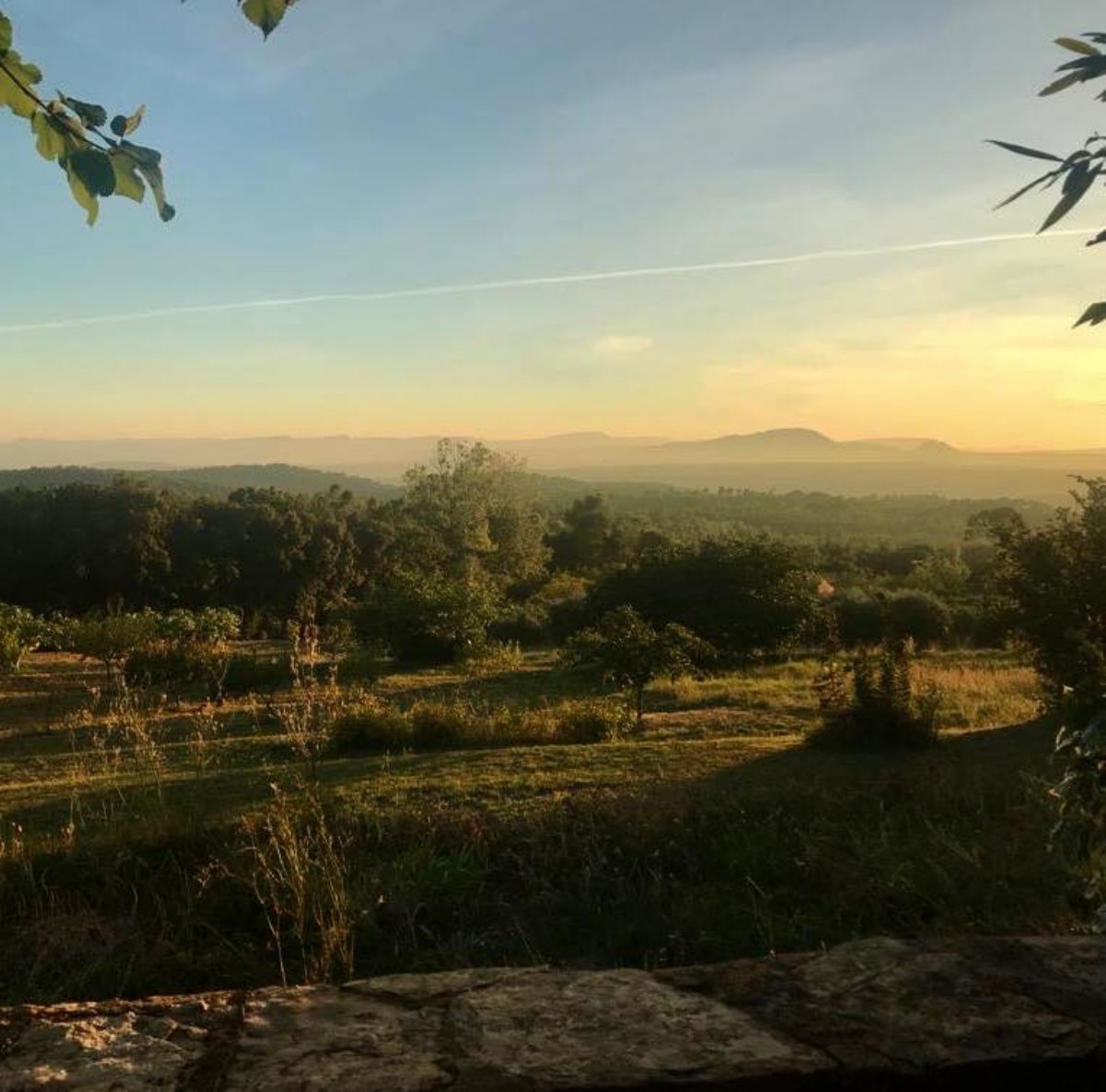 Vue du domaine - Domaine de la Tuillière