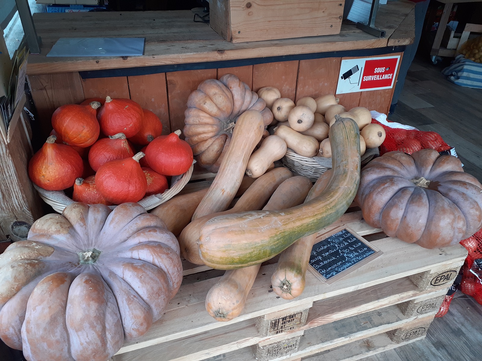 Légumes d'hiver - Fruits et légumes du Logis du Pin