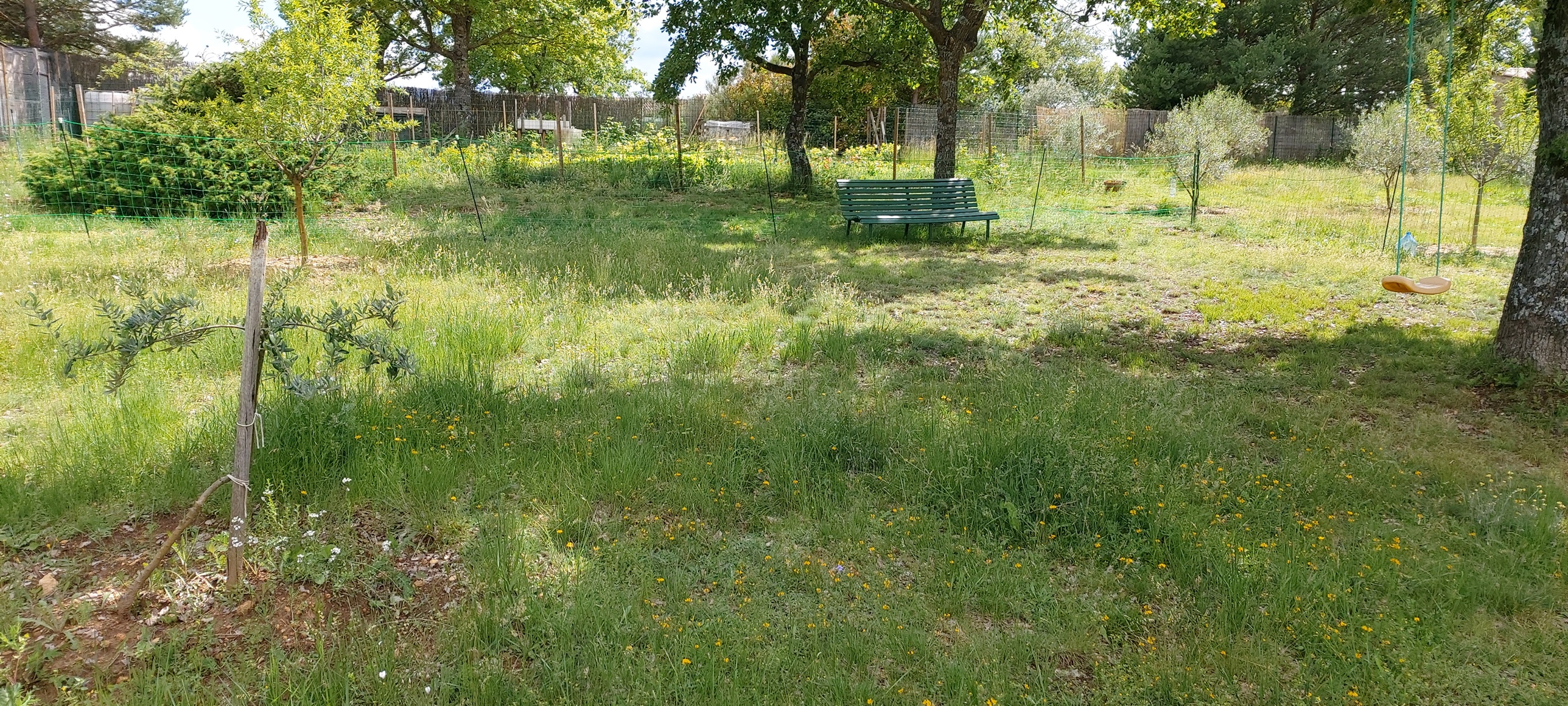 Jardin - La Bastide des Oliviers