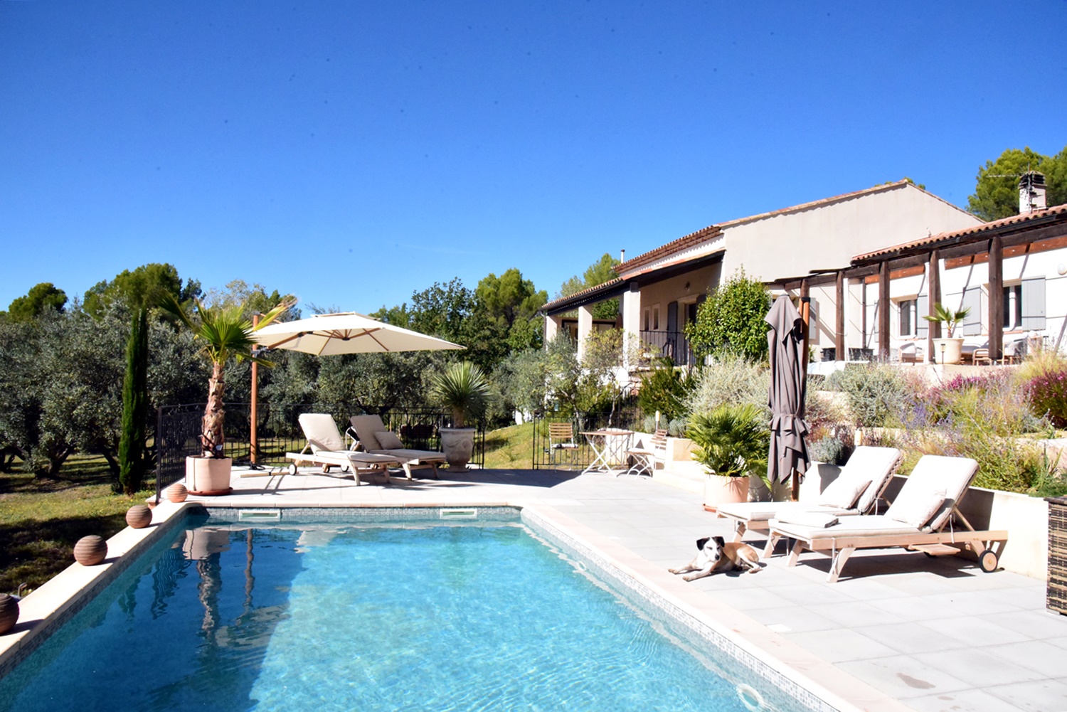 Extérieur - Sous les Oliviers