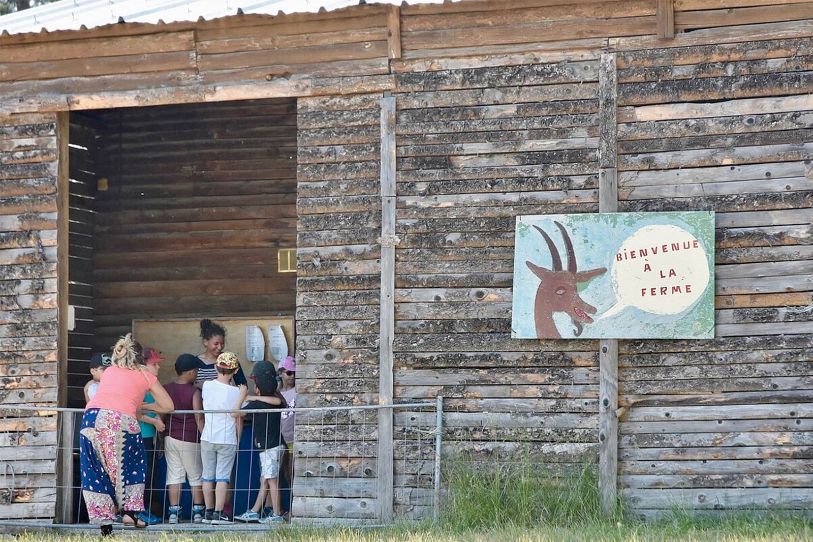 Ferme pédagogique - Centre de vacances La Clairiere OdelEvasion
