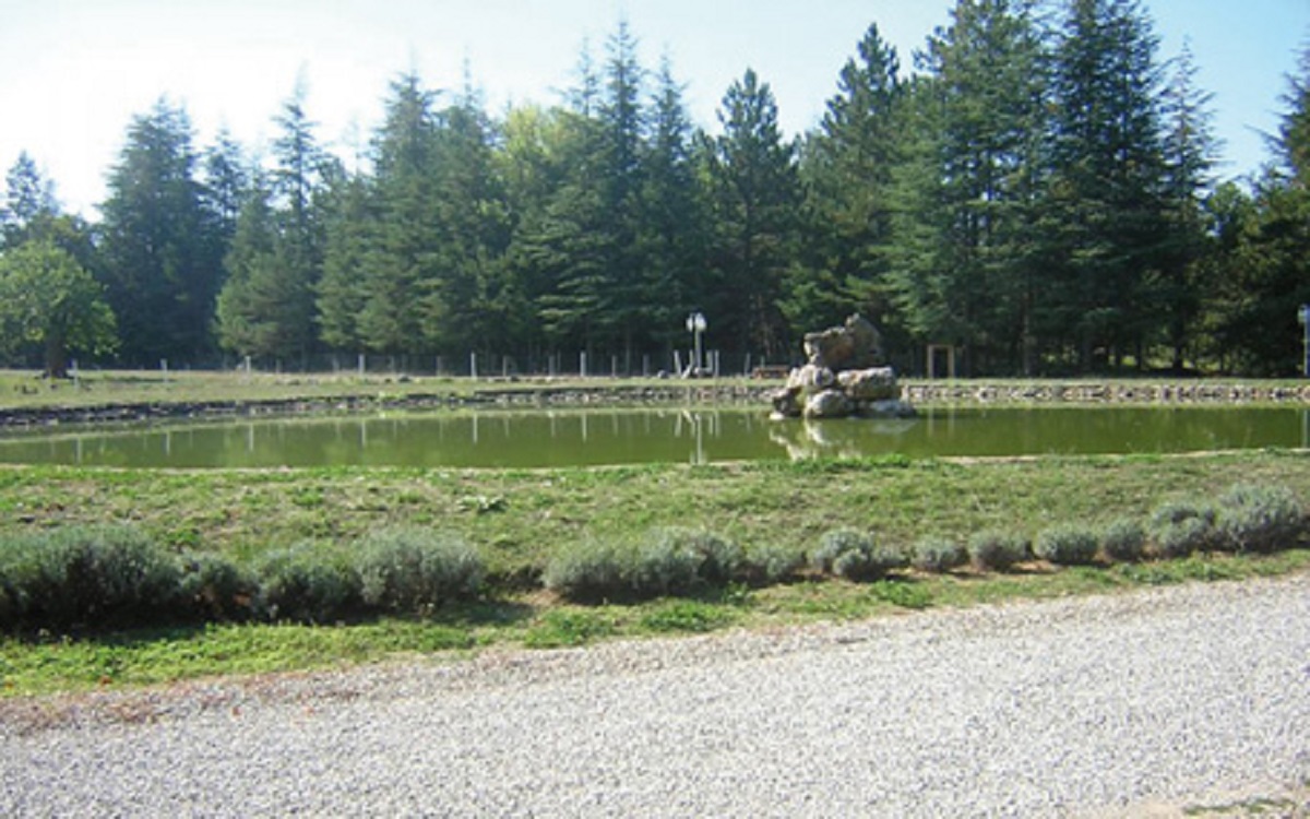 Etang - Domaine de Majastre