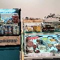 Miniature galerie