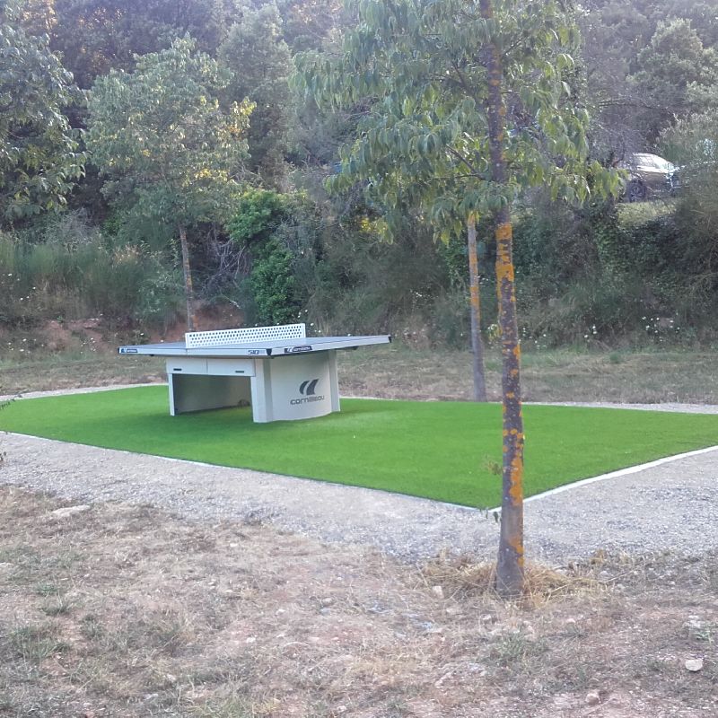 Table de pingpong MOISSACBELLEVUE