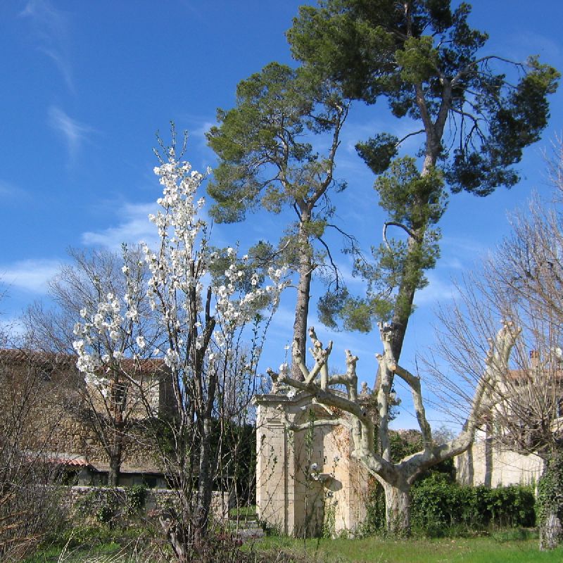 Miniature galerie