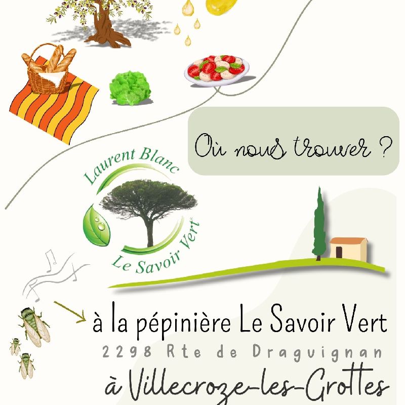 Miniature galerie